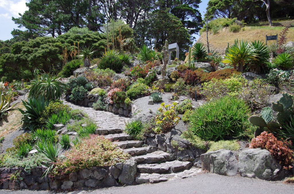wellington_botanical2